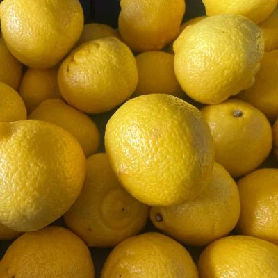 【奥利根ベジフル】みかん 約4キロ(4kg+保証分200g)