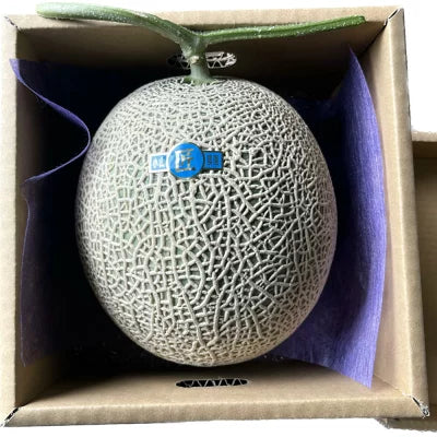 【奥利根ベジフル】高級マスクメロン　1玉入り(1.6ｋｇ以上）