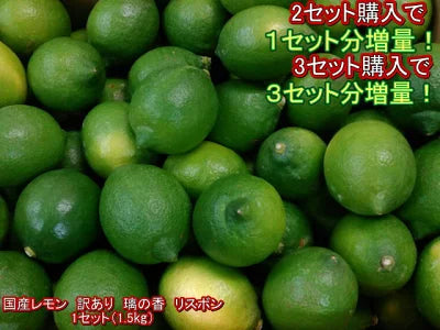 【奥利根ベジフル】国産レモン １セット（1.5kg）